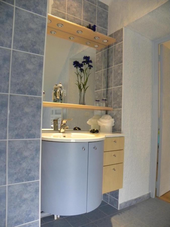 Chambres D'Hotes La Queriere Mur-de-Sologne Kültér fotó