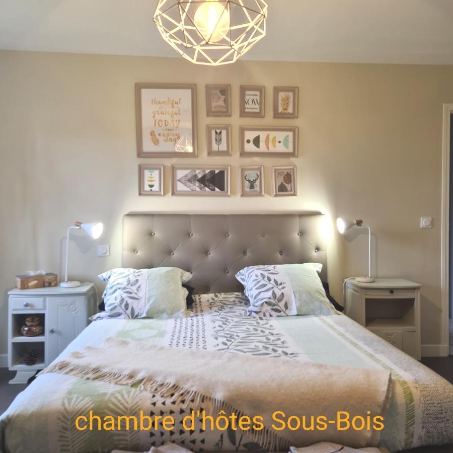 Chambres D'Hotes La Queriere Mur-de-Sologne Kültér fotó
