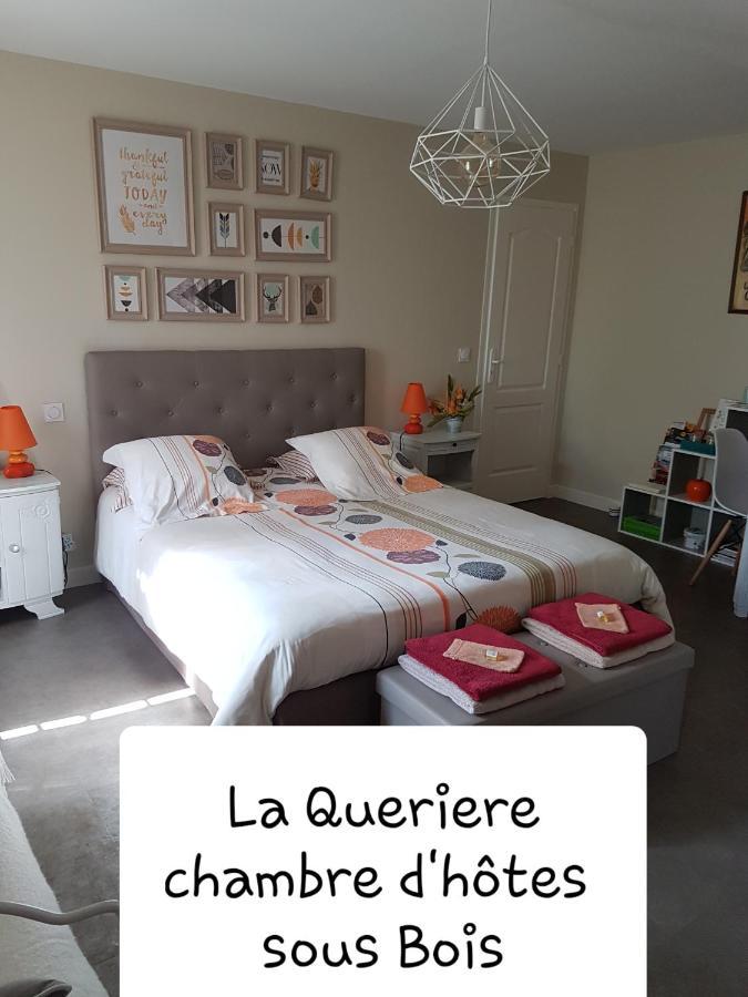 Chambres D'Hotes La Queriere Mur-de-Sologne Kültér fotó