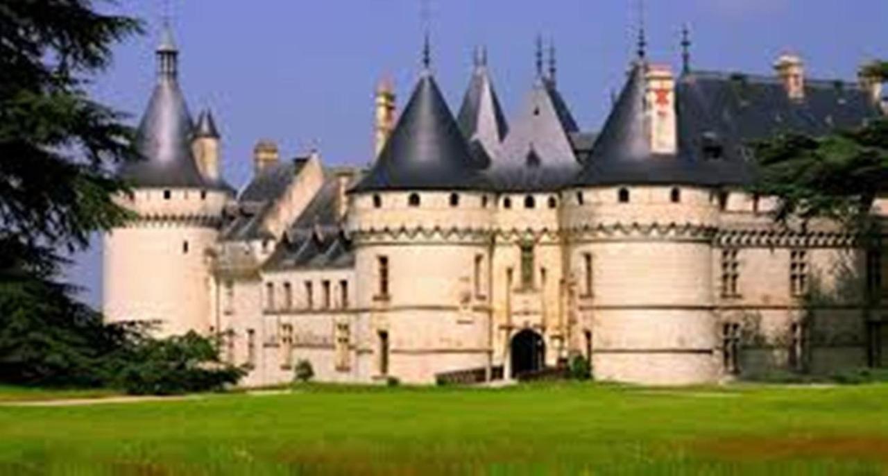 Chambres D'Hotes La Queriere Mur-de-Sologne Kültér fotó