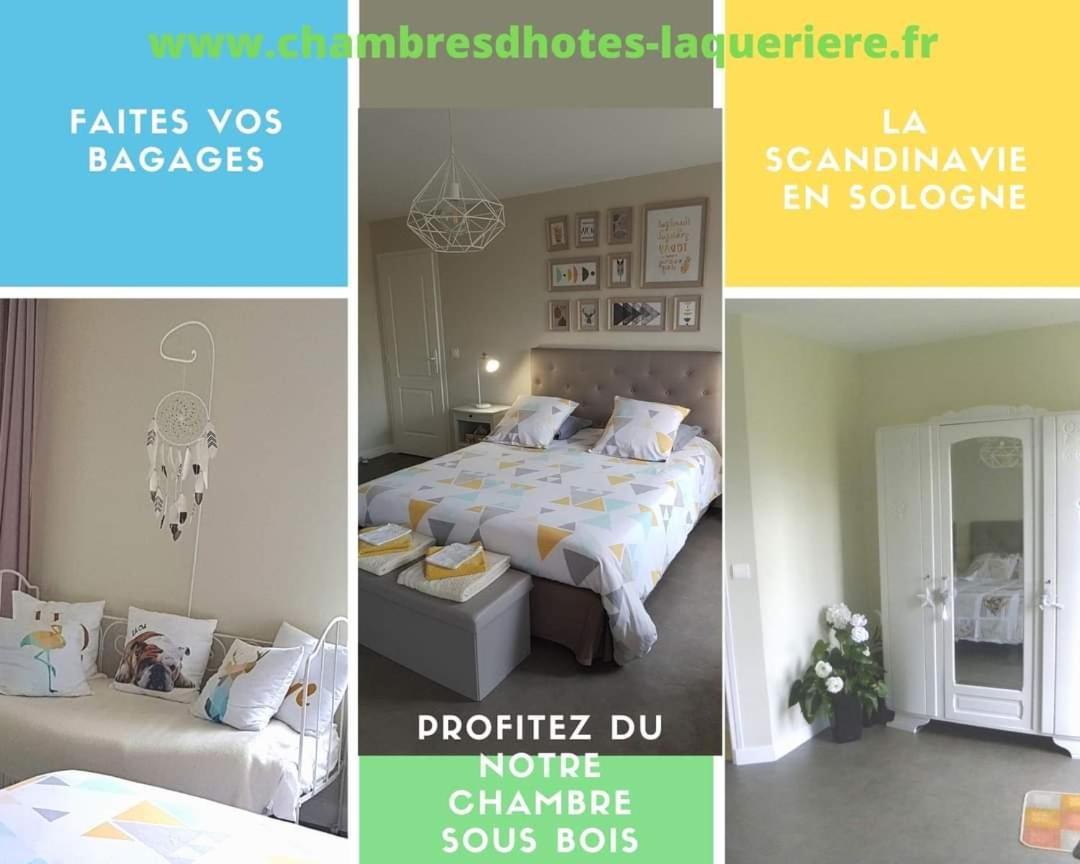 Chambres D'Hotes La Queriere Mur-de-Sologne Kültér fotó